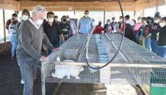 Foto de la galería: Producción y cría de conejos, una apuesta al trabajo y rentabilidad en Posadas