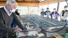 Foto de la galería: Producción y cría de conejos, una apuesta al trabajo y rentabilidad en Posadas