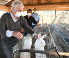 Foto de la galería: Producción y cría de conejos, una apuesta al trabajo y rentabilidad en Posadas