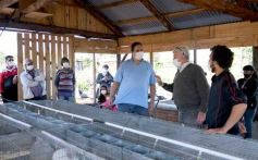 Foto de la galería: Producción y cría de conejos, una apuesta al trabajo y rentabilidad en Posadas