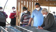 Foto de la galería: Producción y cría de conejos, una apuesta al trabajo y rentabilidad en Posadas