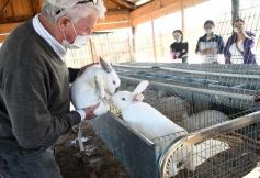 Foto de la galería: Producción y cría de conejos, una apuesta al trabajo y rentabilidad en Posadas