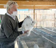 Foto de la galería: Producción y cría de conejos, una apuesta al trabajo y rentabilidad en Posadas