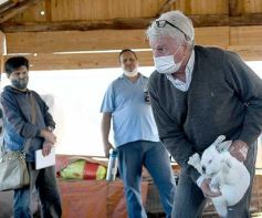 Foto de la galería: Producción y cría de conejos, una apuesta al trabajo y rentabilidad en Posadas