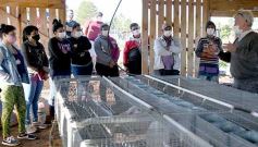 Foto de la galería: Producción y cría de conejos, una apuesta al trabajo y rentabilidad en Posadas