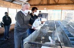 Foto de la galería: Producción y cría de conejos, una apuesta al trabajo y rentabilidad en Posadas