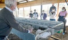 Foto de la galería: Producción y cría de conejos, una apuesta al trabajo y rentabilidad en Posadas