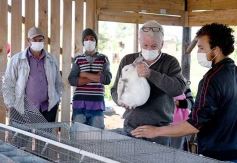 Foto de la galería: Producción y cría de conejos, una apuesta al trabajo y rentabilidad en Posadas