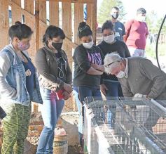 Foto de la galería: Producción y cría de conejos, una apuesta al trabajo y rentabilidad en Posadas