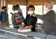 Foto de la galería: Producción y cría de conejos, una apuesta al trabajo y rentabilidad en Posadas