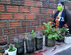 Foto de la galería: Posadas acompañó la 34° edición del LIRAa en la campaña contra el dengue