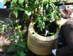 Foto de la galería: Posadas acompañó la 34° edición del LIRAa en la campaña contra el dengue