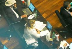 Foto de la galería: La Cámara de Representantes de Misiones volvió a la presencialidad en el marco de protocolos
