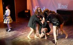 Foto de la galería: Lacios y rebeldes en el Mandové Pedrozo de Posadas