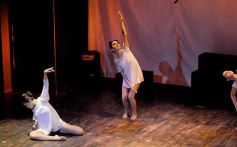 Foto de la galería: Lacios y rebeldes en el Mandové Pedrozo de Posadas