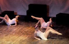 Foto de la galería: Lacios y rebeldes en el Mandové Pedrozo de Posadas