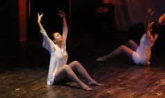 Foto de la galería: Lacios y rebeldes en el Mandové Pedrozo de Posadas