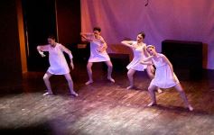 Foto de la galería: Lacios y rebeldes en el Mandové Pedrozo de Posadas