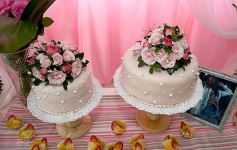 Foto de la galería: Los 15 años de Karina Yazmin Viñales