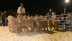 Foto de la galería: Productores, familias y amigos disfrutaron del Remate Nocturno en Dos de Mayo