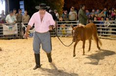 Foto de la galería: Productores, familias y amigos disfrutaron del Remate Nocturno en Dos de Mayo