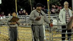 Foto de la galería: Productores, familias y amigos disfrutaron del Remate Nocturno en Dos de Mayo