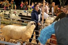 Foto de la galería: Productores, familias y amigos disfrutaron del Remate Nocturno en Dos de Mayo