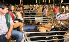 Foto de la galería: Productores, familias y amigos disfrutaron del Remate Nocturno en Dos de Mayo