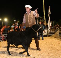 Foto de la galería: Productores, familias y amigos disfrutaron del Remate Nocturno en Dos de Mayo