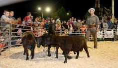 Foto de la galería: Productores, familias y amigos disfrutaron del Remate Nocturno en Dos de Mayo