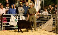 Foto de la galería: Productores, familias y amigos disfrutaron del Remate Nocturno en Dos de Mayo