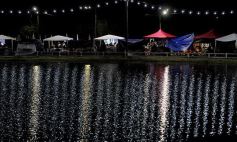 Foto de la galería: Productores, familias y amigos disfrutaron del Remate Nocturno en Dos de Mayo