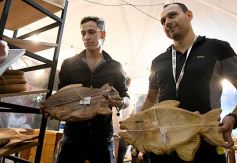 Foto de la galería: Cierre de lujo para la 43° edición de la Fiesta Nacional de la Yerba Mate