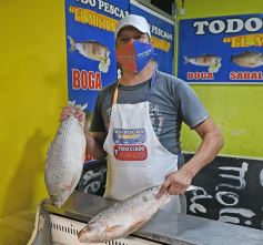 Foto de la galería: Trabajo y recorridas en la ciudad capital con muchos amigos y buena onda