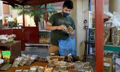 Foto de la galería: Trabajo y recorridas en la ciudad capital con muchos amigos y buena onda