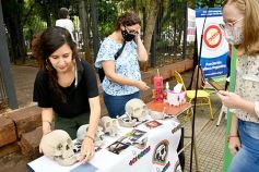 Foto de la galería: Conocimiento y encuentro en la Kermés Científica de la UNaM