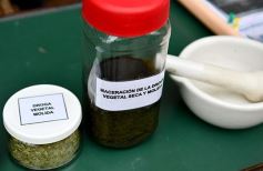 Foto de la galería: Conocimiento y encuentro en la Kermés Científica de la UNaM