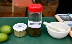 Foto de la galería: Conocimiento y encuentro en la Kermés Científica de la UNaM