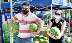 Foto de la galería: Feria de sandias misioneras en Plaza San Martín de Posadas