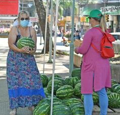 Foto de la galería: Feria de sandias misioneras en Plaza San Martín de Posadas