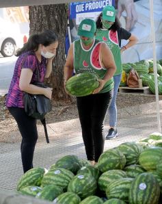 Foto de la galería: Feria de sandias misioneras en Plaza San Martín de Posadas