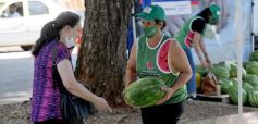 Foto de la galería: Feria de sandias misioneras en Plaza San Martín de Posadas