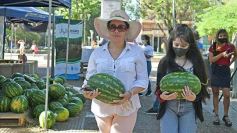 Foto de la galería: Feria de sandias misioneras en Plaza San Martín de Posadas