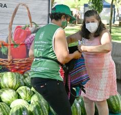 Foto de la galería: Feria de sandias misioneras en Plaza San Martín de Posadas