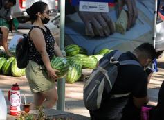 Foto de la galería: Feria de sandias misioneras en Plaza San Martín de Posadas