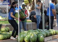 Foto de la galería: Feria de sandias misioneras en Plaza San Martín de Posadas