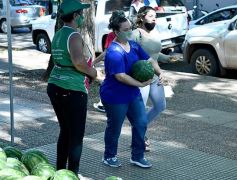 Foto de la galería: Feria de sandias misioneras en Plaza San Martín de Posadas