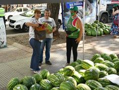 Foto de la galería: Feria de sandias misioneras en Plaza San Martín de Posadas
