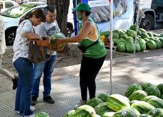 Foto de la galería: Feria de sandias misioneras en Plaza San Martín de Posadas