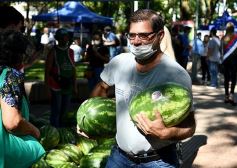 Foto de la galería: Feria de sandias misioneras en Plaza San Martín de Posadas